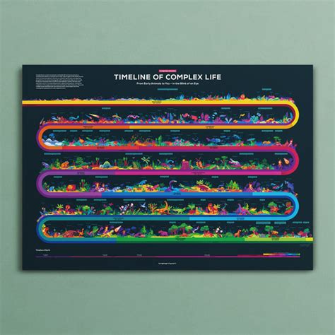 Timeline of Evolution | Infographic Poster – the kurzgesagt shop