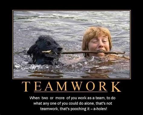 It's All About Teamwork — 25+ Funny Teamwork Memes