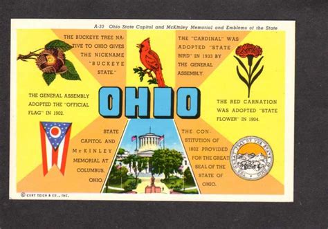 ohio state flower facts - Yoshiko Noonan