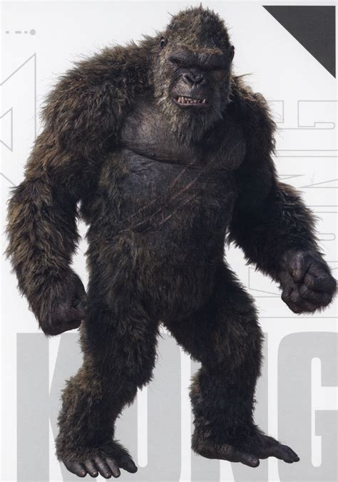 King Kong 2021 | Godzilla vs. Kong | Know Your Meme