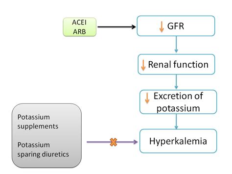 Why potassium levels should be monitored in patients using ACE inhibitors?