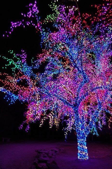 Magical Purple Tree (purple,lights,christmas,magic,beautiful,tree ...