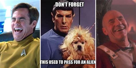 Funny Star Trek Memes