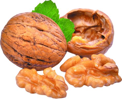 Why walnuts may help with weight loss - Harvard Health