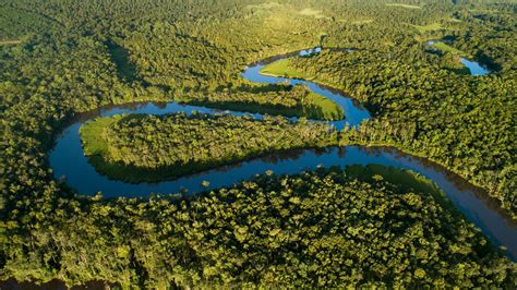 Discover Georgia's Altamaha River