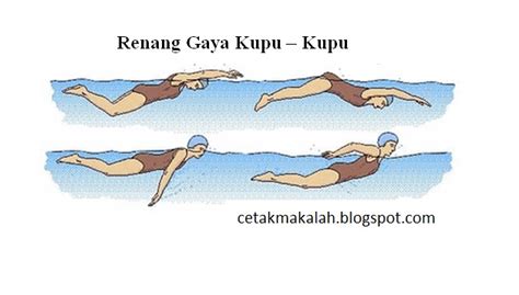 Tugas makalah tentang renang dilengkapi dengan referensinya - cetakmakalah