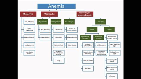 Pin on Genetics