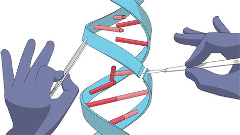 Sickle Cell Anemia Studies Cover Two Types of CRISPR Gene Editing