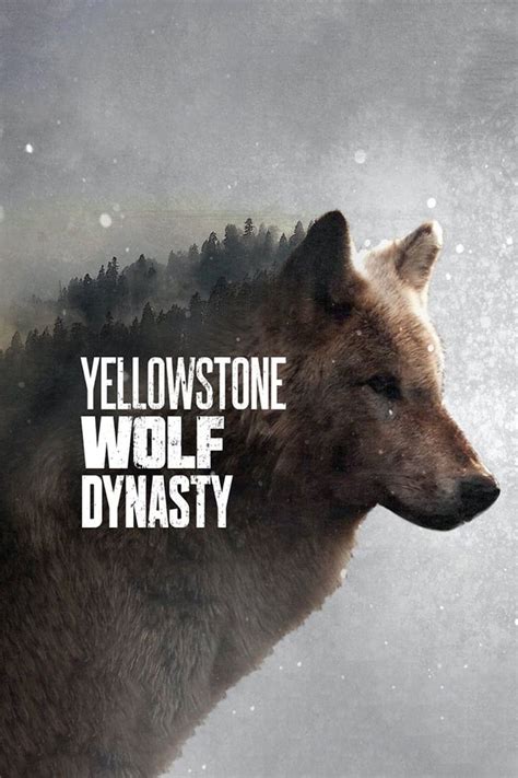 Yellowstone Wolf Dynasty (TV Series 2018-2018) - Posters — The Movie ...