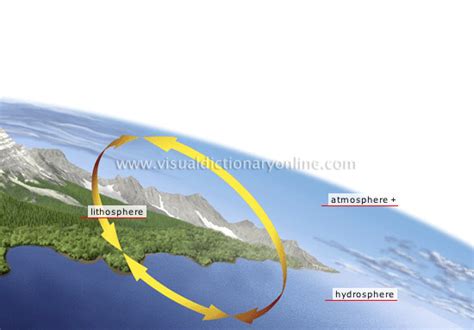 EARTH :: ENVIRONMENT :: VEGETATION AND BIOSPHERE :: STRUCTURE OF THE BIOSPHERE image - Visual ...