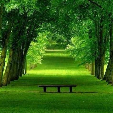 234 Hd Wallpaper Green Scenery Images & Pictures - MyWeb