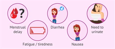 What are the symptoms of embryo implantation?