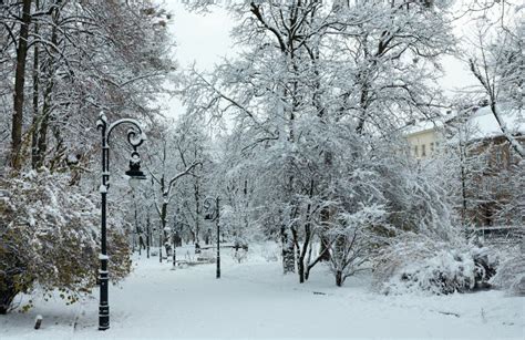 Winter Park in Lviv City, Ukraine Stock Photo - Image of landscape, path: 116416534