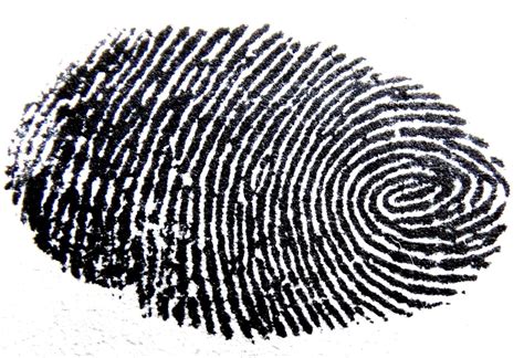 Fingerprint Facts | Fingerprinting | Door Lock | Scanner | Unique