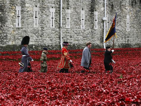 On Armistice Day In U.K., A Sea Of Red Poppies Honors The Fallen | New ...