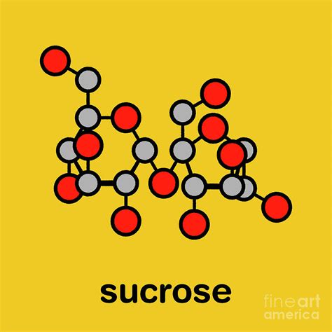 Sucrose Sugar Molecule Photograph by Molekuul/science Photo Library ...