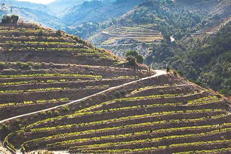 Where is the Priorat? - Wine Country Getaways