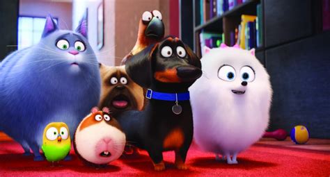 MOVIE REVIEW: The Secret Life of Pets - Owl Connected