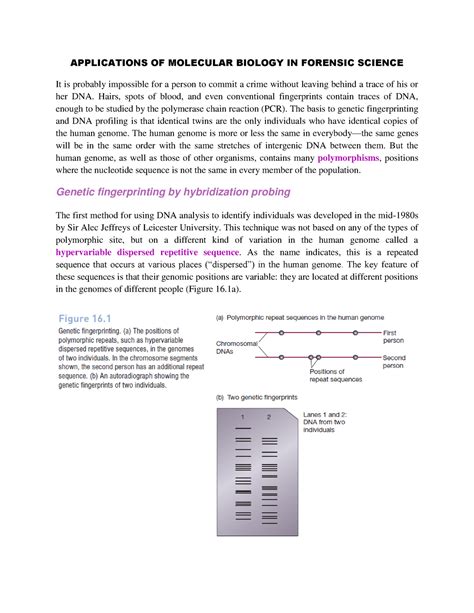 Applications OF Molecular Biology IN Forensic Science - APPLICATIONS OF ...