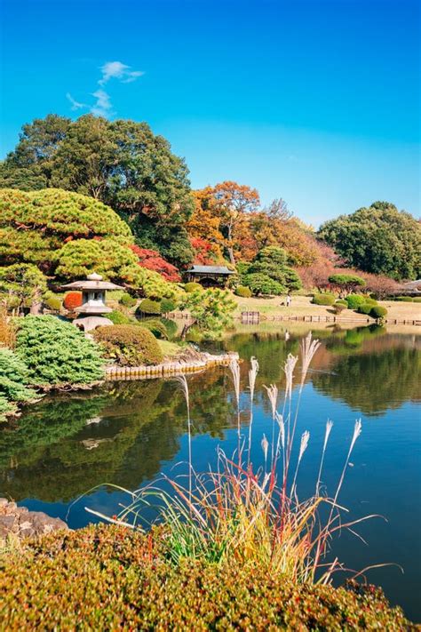 Shinjuku Gyoen Park at Autumn in Tokyo, Japan Stock Photo - Image of colorful, city: 133336284