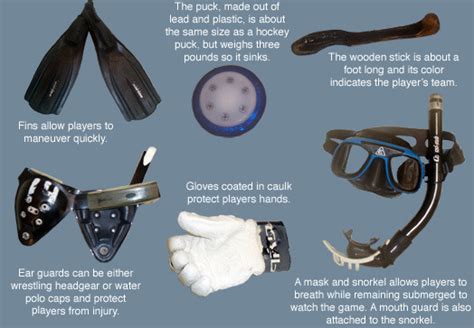 Underwater Hockey Equipment | HockeyGods