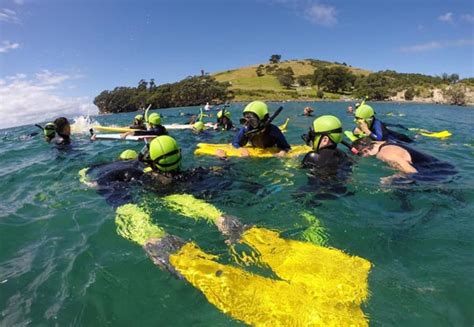 Goat Island Dive and Snorkel • GrabOne NZ