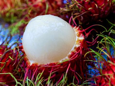 Health Benefits of Rambutan Fruit