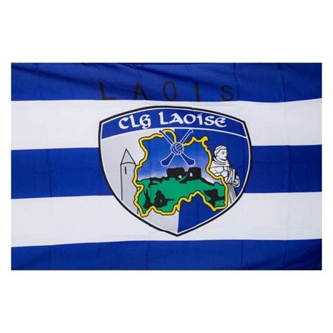 All the big winners from the Laois GAA mega draw - Laois Live