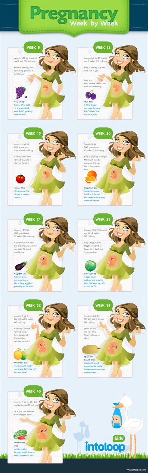 Pregnancy Week by Week | Visual.ly