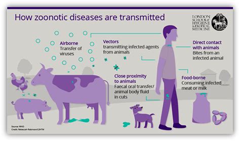 Pet News & Articles | Urban Pet Hospital Blog | Zoonotic Diseases Facts [Infographic]