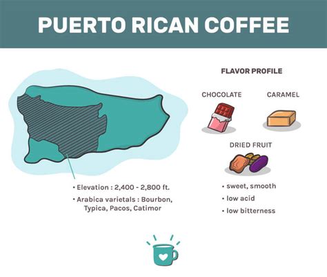 Best Puerto Rican Coffee Brands in 2023