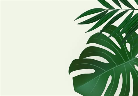 Natural Realistic Green Palm Leaves Tropical Background 2474432 Vector ...