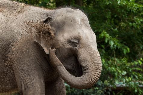 Rotterdam Zoo Blijdorp – Travel Tips 2023 • HollandDreams