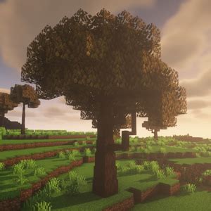 Dynamic Trees - Ecologics - Minecraft Mod