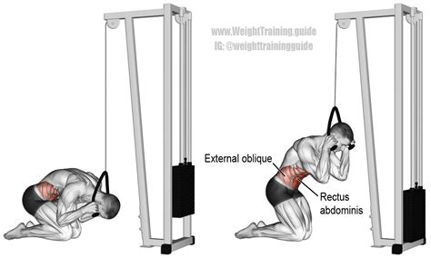 Kneeling cable crunch instructions and video | Weight Training Guide | Cable workout, Abs ...
