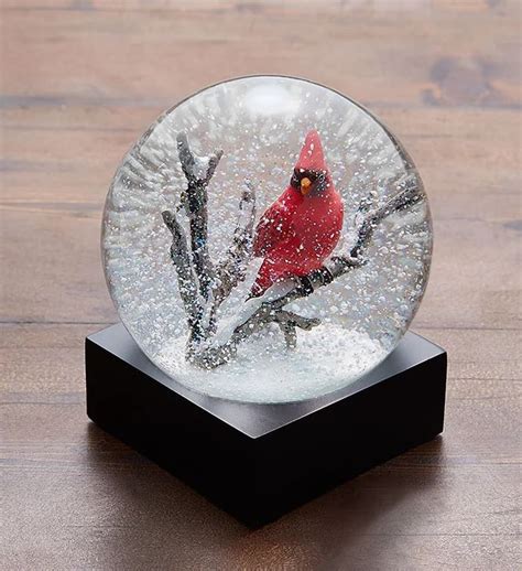 Cardinal Snow Globe by CoolSnowGlobes | Christmas snow globes, Snow globes, Diy snow globe