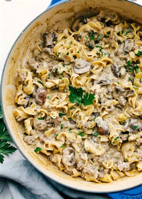 Freeze Dried Ground Beef Stroganoff. Healthy Meals for Camping, Hiking, Snacks or an Emergency ...