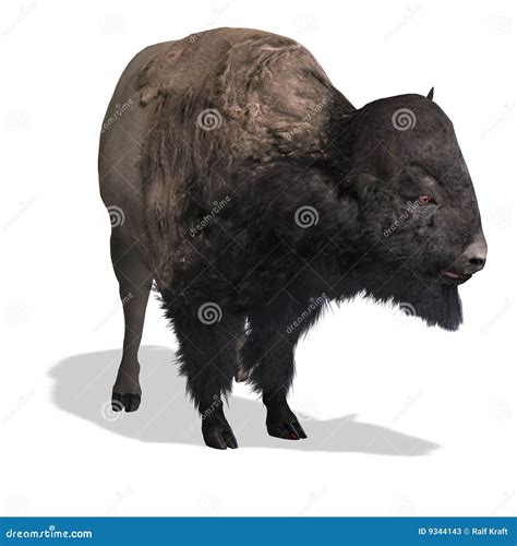 Wild West Bison stock illustration. Illustration of horn - 9344143