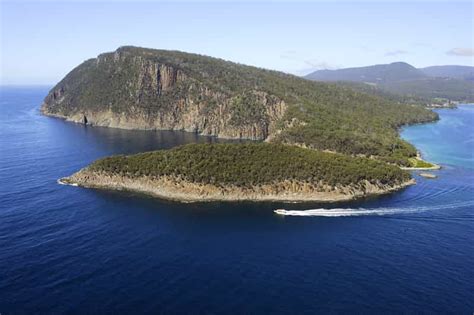 Bruny Island Wilderness Cruise | GetYourGuide