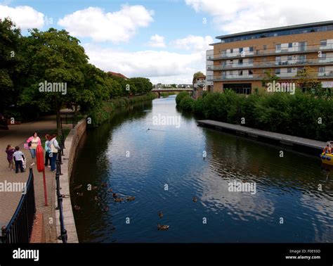 Bridgwater and Taunton Canal, Taunton, Somerset, UK Stock Photo - Alamy