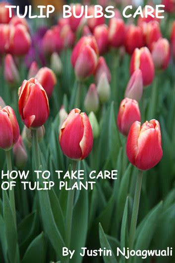 Tulip Bulbs Care 電子書，作者 Justin Njoagwuali - EPUB 書籍 | Rakuten Kobo 台灣