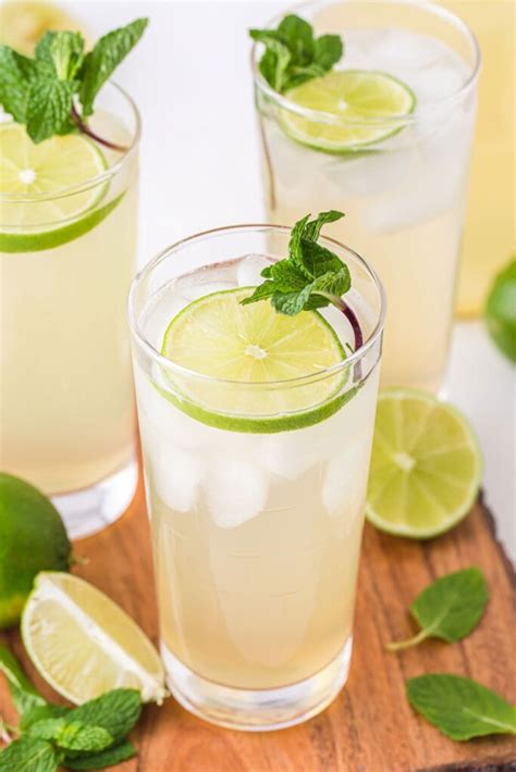 Fresh Limeade Recipe (no-cook!) - Fit Foodie Finds