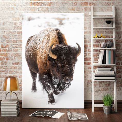 American Buffalo in Snow Original Pictures Art for Home | Etsy