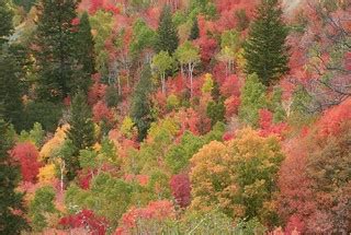 Mountain Color | View It Large: Mountain Color | Mike Nielsen | Flickr