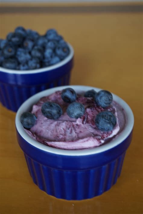 Blueberry Greek Yogurt - Conebella Farm