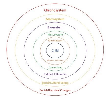 Exosystem | Definition, Theories & Examples - Lesson | Study.com