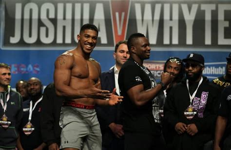 WATCH: Compilation Of Anthony Joshua's 18 Knockouts As A Professional ...