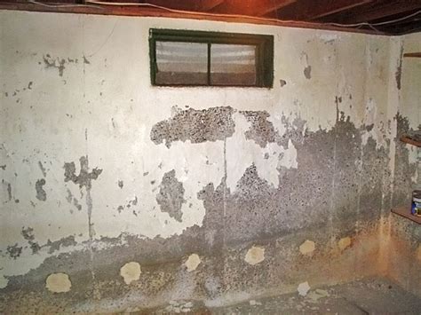 The Case Against Waterproof Paints & Wall Coatings | Why Waterproof Coatings Fail & What To Do ...