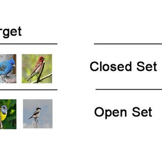 Comparison between closed set and open set recognition. (a) Problem... | Download Scientific Diagram