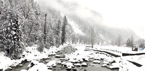 A view of fresh snowfall received in Sonmarg area